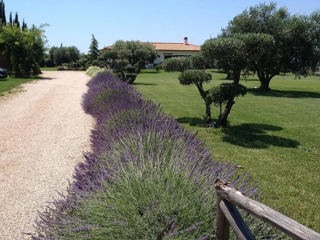 Agriturismo L'Incontro Villa Pescia Romana 0*,