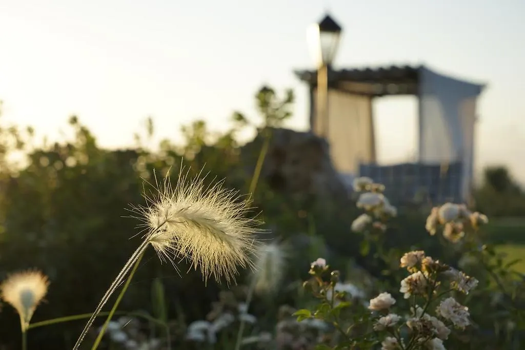 Agriturismo L'Incontro Villa Pescia Romana